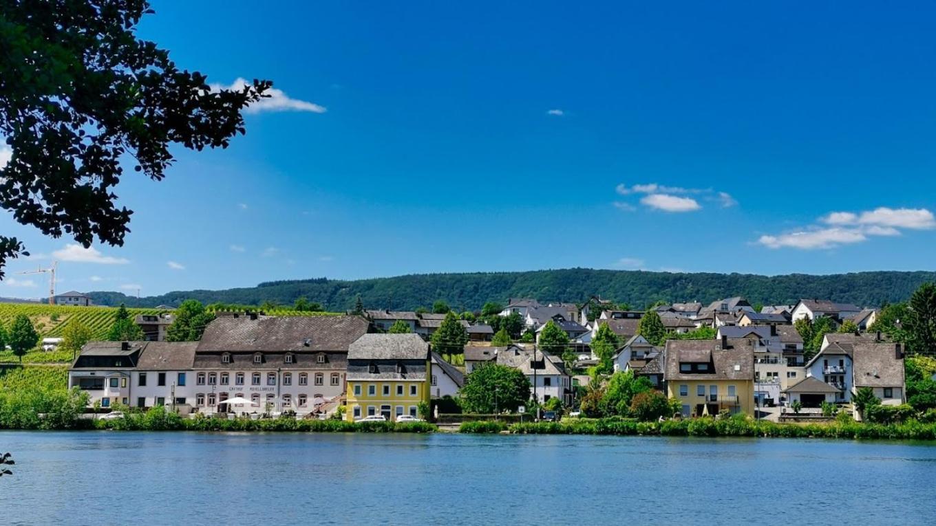 Hotel- Weingut- Moselloreley Piesport Bagian luar foto